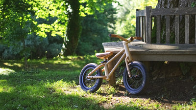 Bixie: An Eco-Friendly balance bike for children